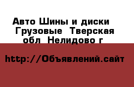 Авто Шины и диски - Грузовые. Тверская обл.,Нелидово г.